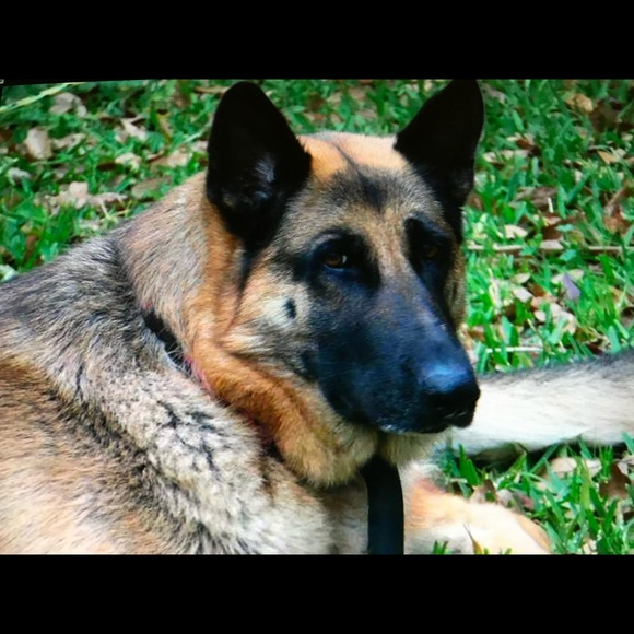 Meet your Posher, Diane - Picture 2 of 6